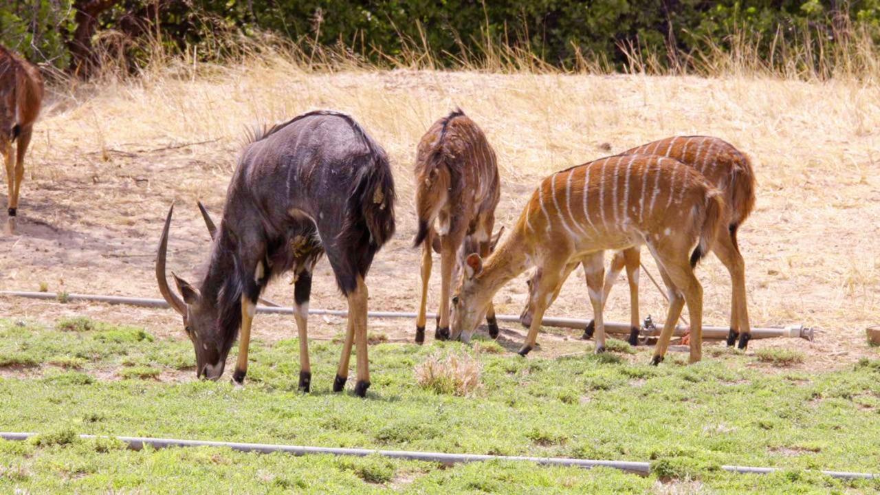 Отель Uitkyk Guest Farm Usakos Экстерьер фото